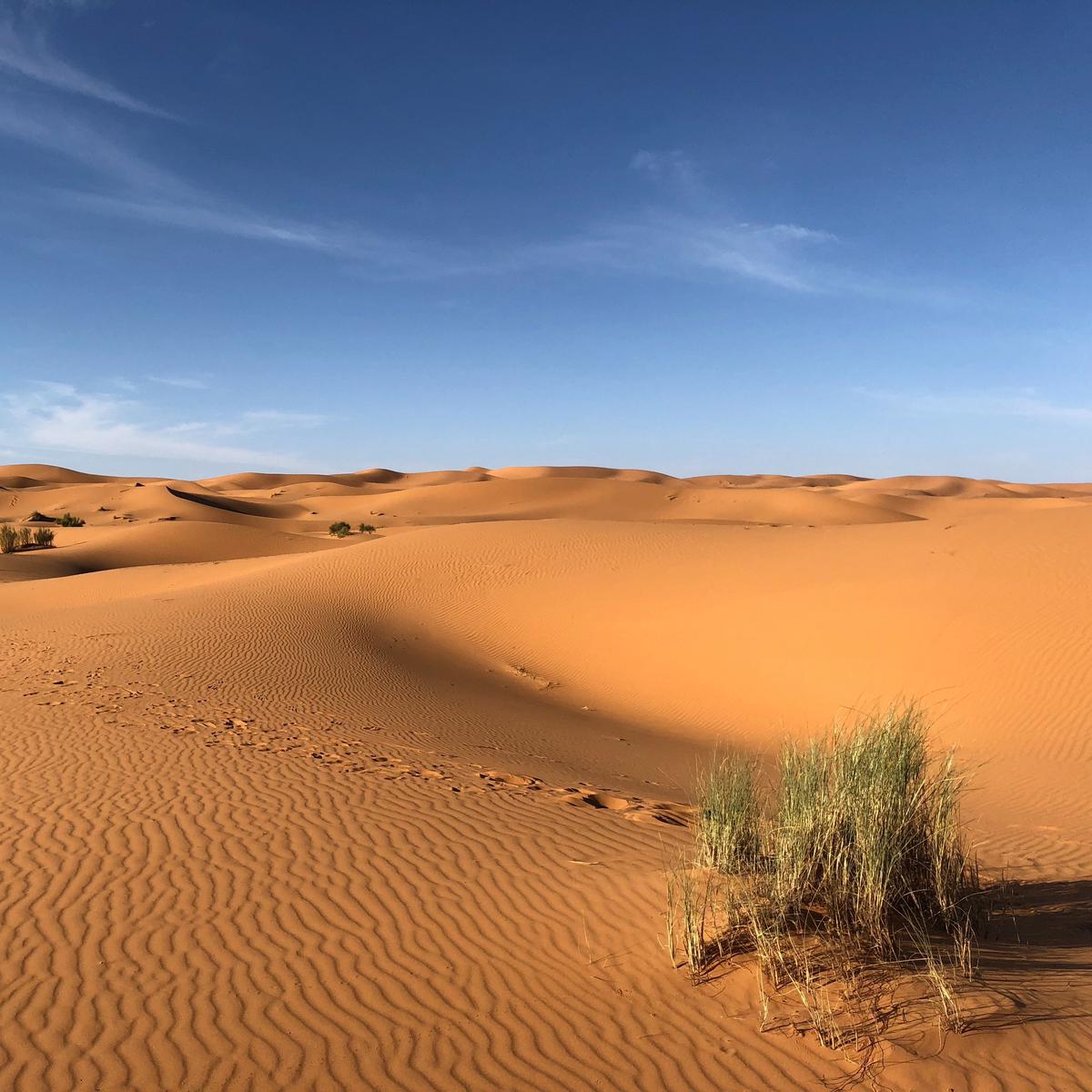 Viral Di Tiktok Tentang Di Gunung Sahara